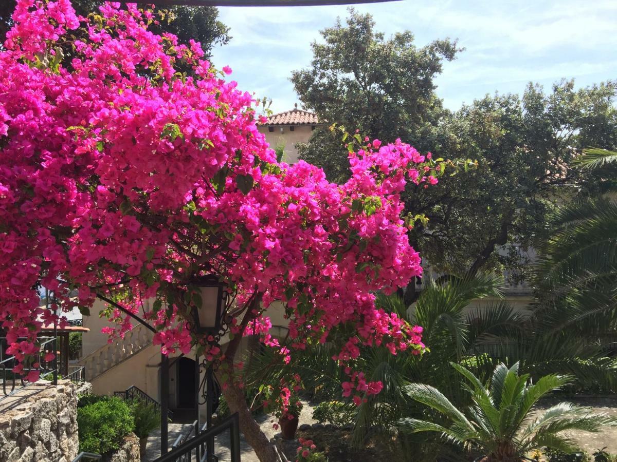 Villa Son Armadans Πάλμα ντε Μαγιόρκα Εξωτερικό φωτογραφία